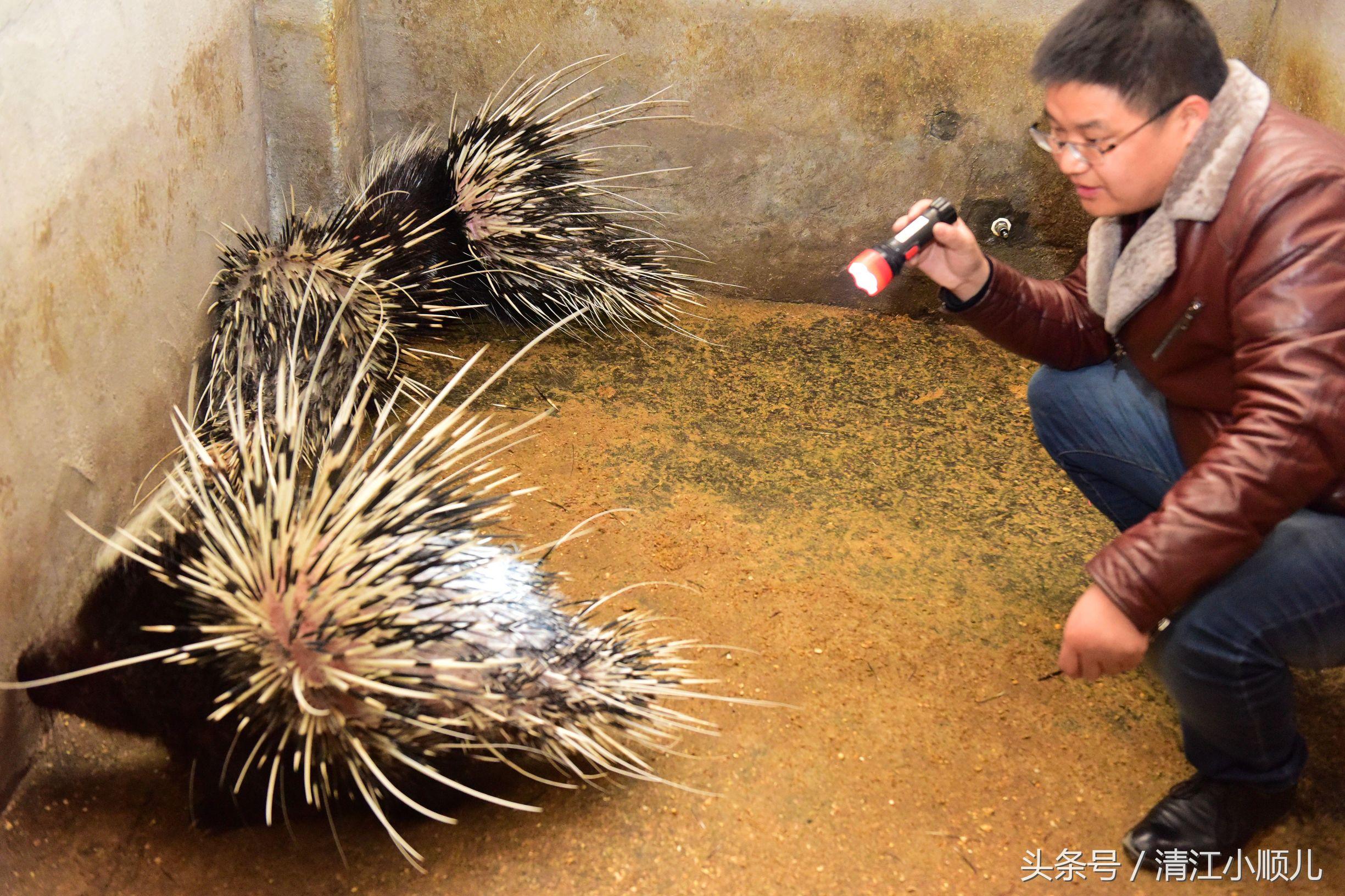 普通人养孩子到大学毕业了要花多少钱？