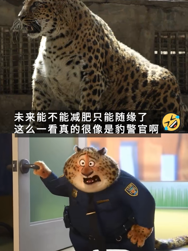 豹警官高清头像——魅力与正义的完美结合