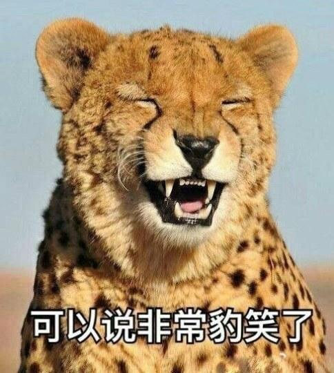 豹警官高清头像——魅力与正义的完美结合