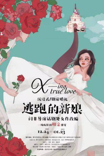 网红豹猫，魅力与神秘的象征