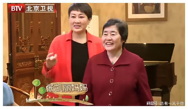 张凯丽的家，探寻明星生活的温馨角落
