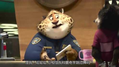 豹警官视频，正义与力量的网络展现