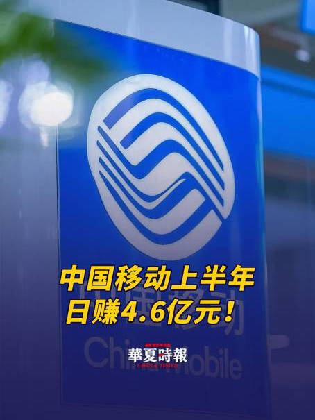 中国移动董事长:携号转网成恶性竞争中国移动董事长，携号转网引发恶性竞争现象探讨