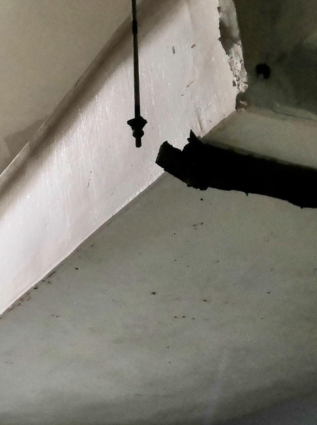 小区落水管掉落砸坏车辆小区落水管掉落砸坏车辆，原因、责任与解决方案