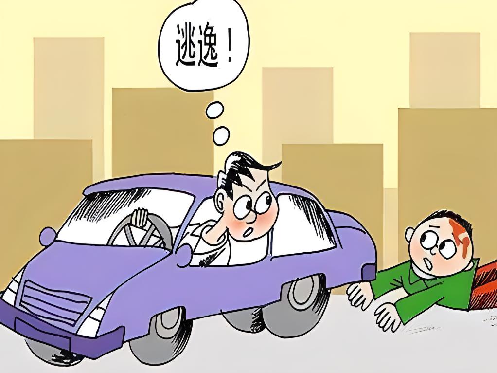 拦停逃逸者反遭索赔如果有人在逃逸过程中被拦截并遭到索赔，这涉及到法律和道德的问题。首先，逃逸行为本身是违法的，无论是从交通安全的角度还是道德责任的角度，都应该承担相应的责任。如果有人试图拦截逃逸者并因此遭受损失或伤害，应该通过合法途径来维护自己的权益。