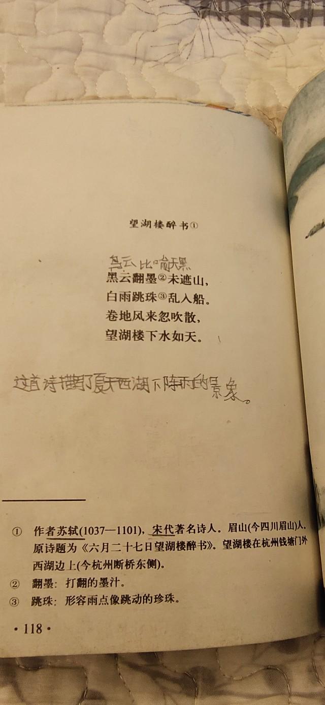 建议推行十年制教育，重塑教育生态，培养未来领袖