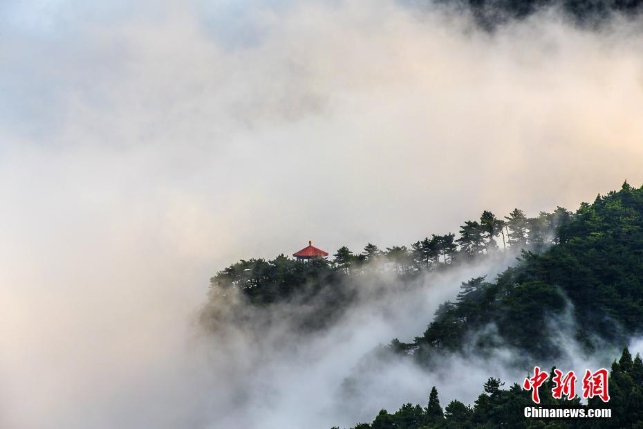 庐山的雾，千变万化的神秘面纱