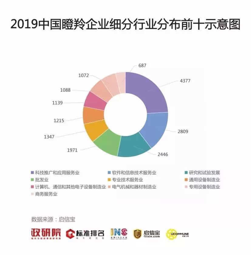 政府工作报告中的瞪羚企业，解析与洞察