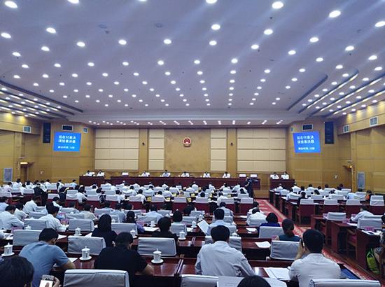 河南省人大代表选举，过程、意义与未来展望