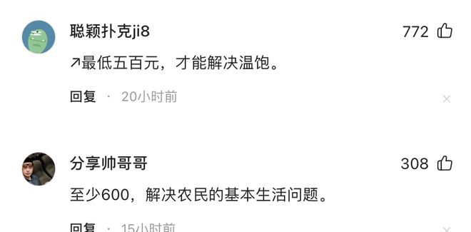 代表建议将农民基础养老金增至600元，农村养老保障的新篇章