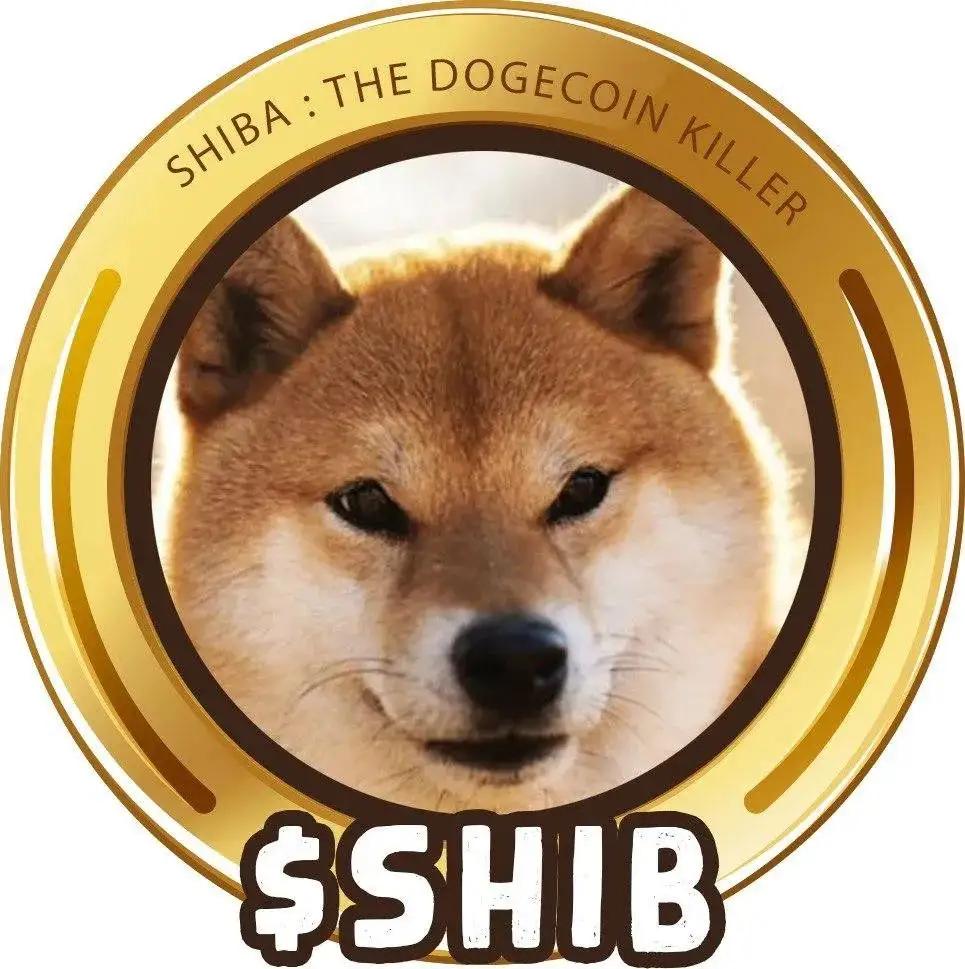 马斯克与Shib币，一美元背后的故事