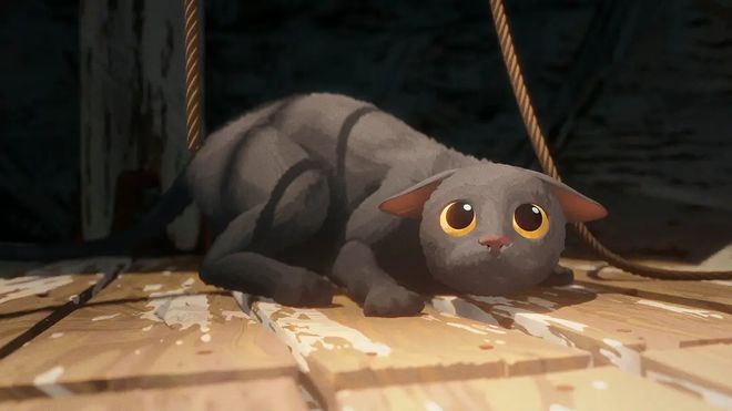 年轻人与猫，从盘猫到班级文化的独特融合