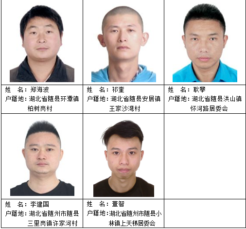 广西缅北滞留人员名单揭秘与应对分析