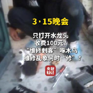 维修刺客啄木鸟，开个水龙头收百元，背后的故事与反思