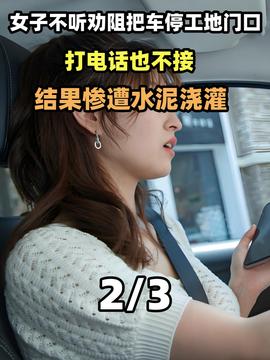 自由点道歉，一场关于尊重与理解的对话