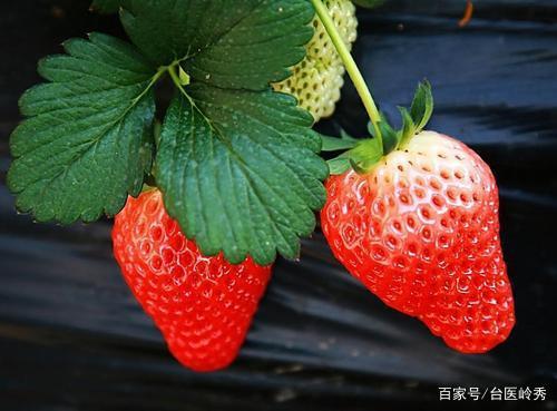 吃草莓会得病吗？解析草莓与健康的关系