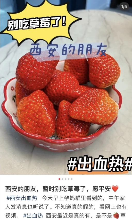 吃草莓会得鼠疫吗？揭秘草莓与鼠疫的真相
