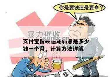 借贷宝借款背后的惊人真相，三四万元借款竟要还十一万元！揭秘借贷背后的故事