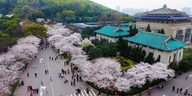 武汉大学硕士读几年？详解硕士研究生的学制与生活