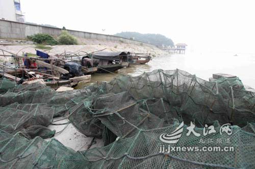 鄱阳湖休鱼期，守护生态平衡的重要时刻