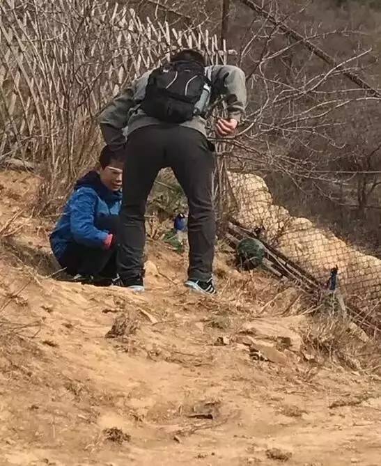 药材遭游客野蛮采摘破坏，保护行动刻不容缓！