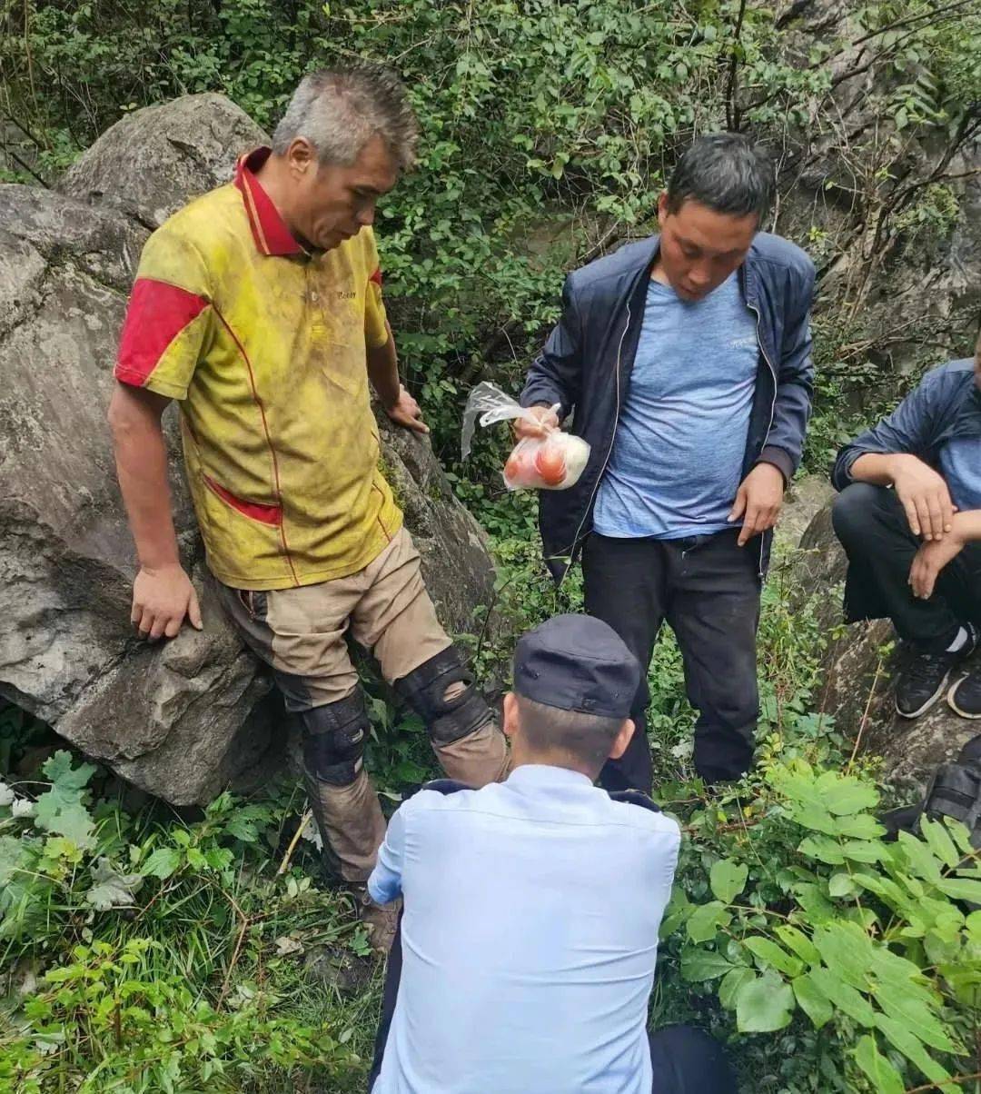药材遭游客野蛮采摘破坏，保护行动刻不容缓！