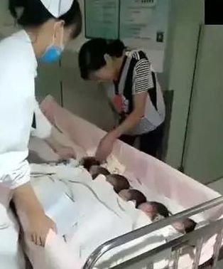 医院回应孕妇七胞胎事件，关注与支持的双重保障