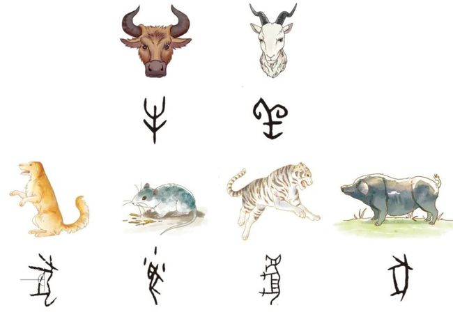 原来小动物就是行走的甲骨文