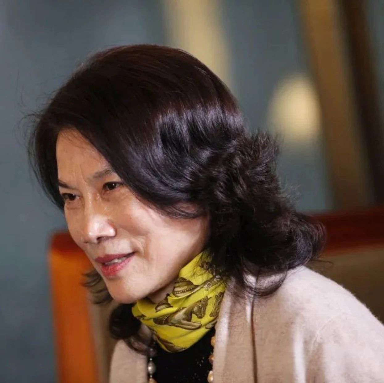 媒体董明珠海归间谍论，错误且危险