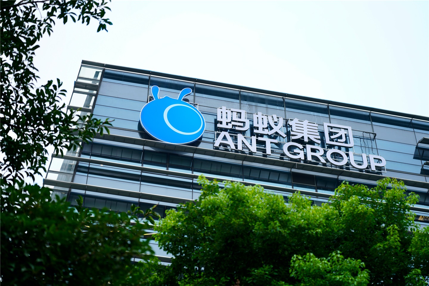 蚂蚁招聘，构建微型力量，助力企业人才招聘新模式