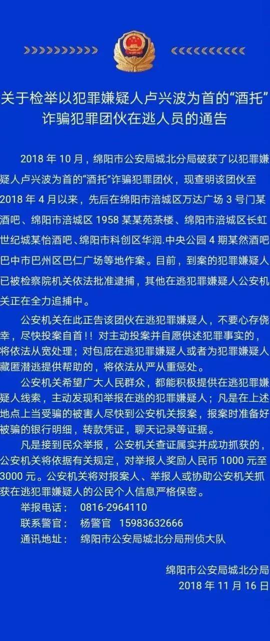 通缉令上高颜值女嫌犯仍在逃，深度解析与警示