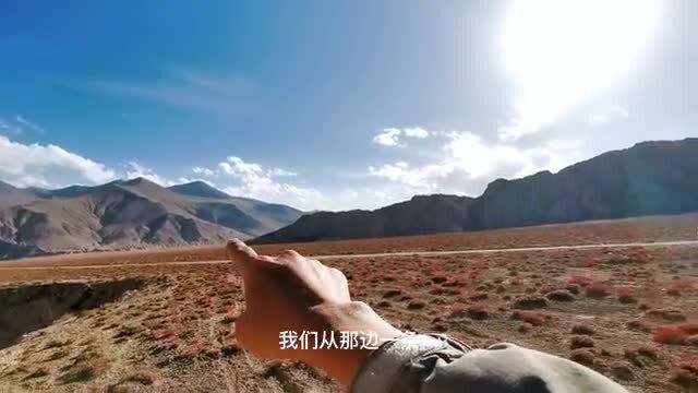 异瞳小伙的治沙行动，在无人区的坚守与走红