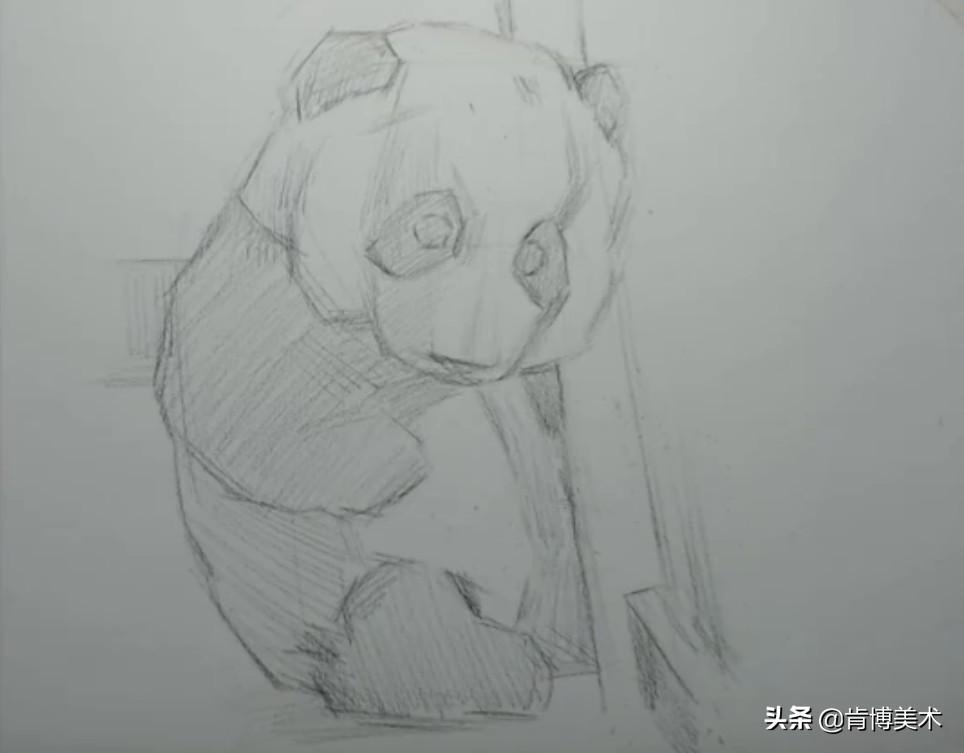 北京动物园熊猫萌萌，萌态可掬，国宝之光