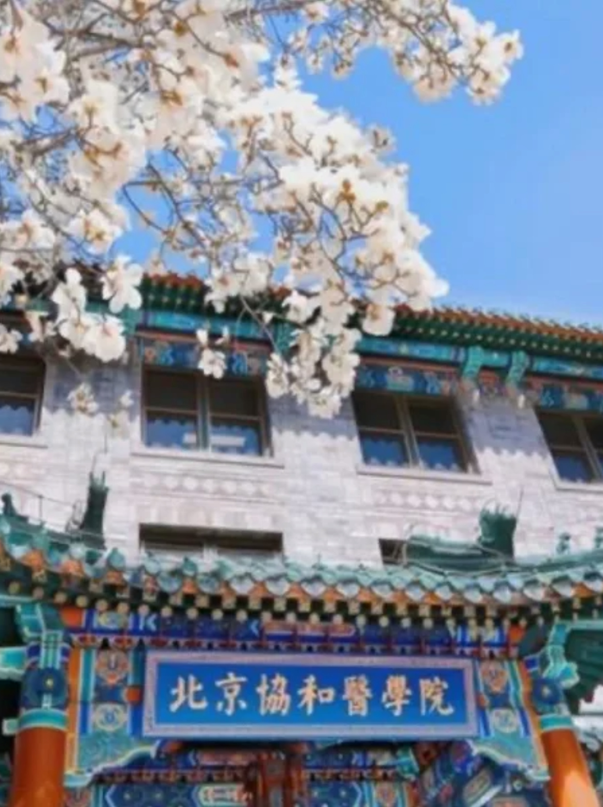 被滥用的协和4加4项目错在哪？