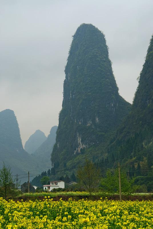 漓江竹筏游视频，领略自然之美，体验传统韵味