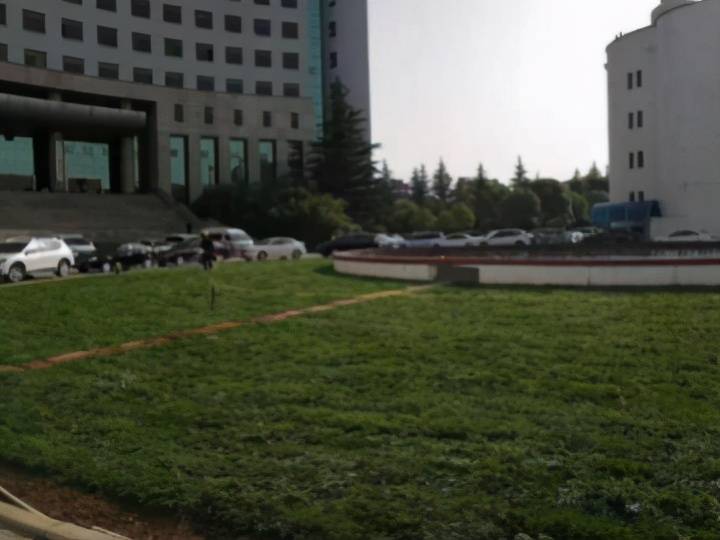 95后在海底捞办婚礼，简约浪漫，餐费惊喜