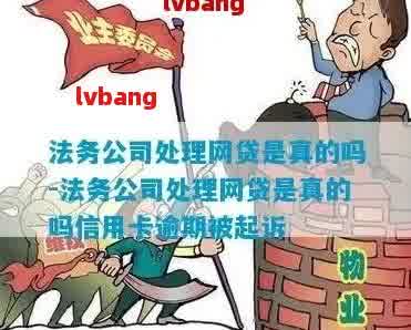 网上那些法律咨询服务公司能否帮我们追回失去的钱款？