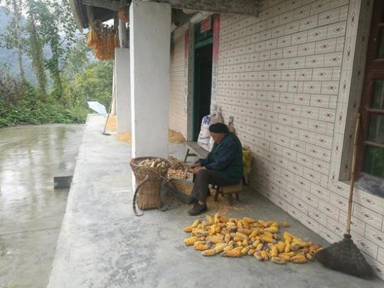 八旬老妪杀老伴获刑，反思与警示