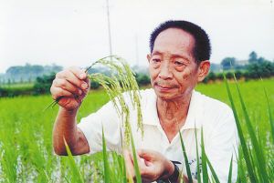 袁隆平夫人个人资料揭秘