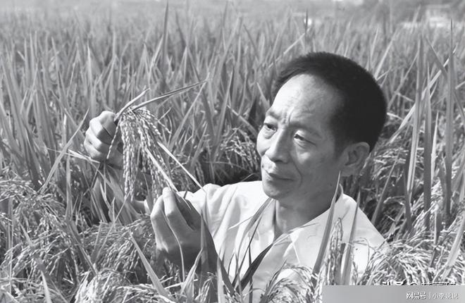 袁隆平夫人个人资料揭秘