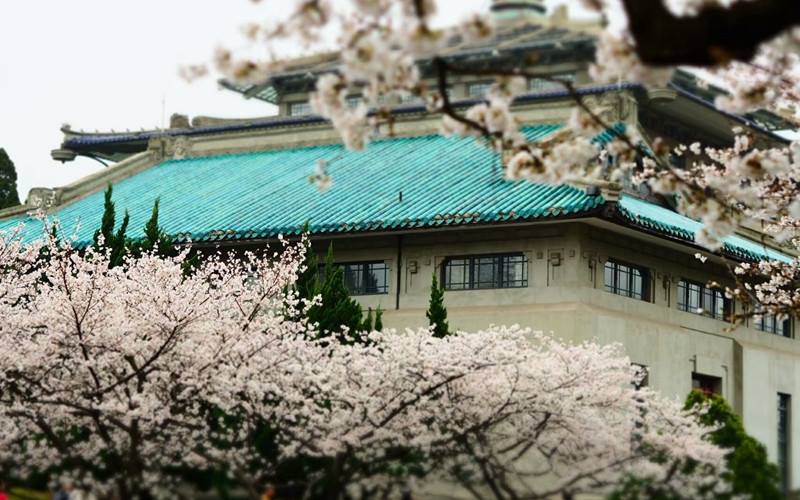 武汉大学校门在哪，详细指南与热门语言解读