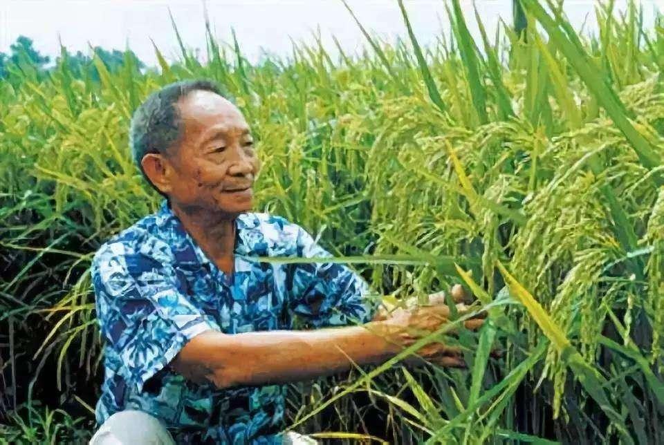 袁隆平夫人，杰出的女性，背后的力量