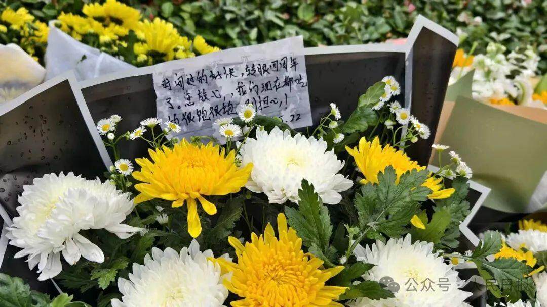 袁隆平夫人的深情祭扫，亲友搀扶下的缅怀之旅
