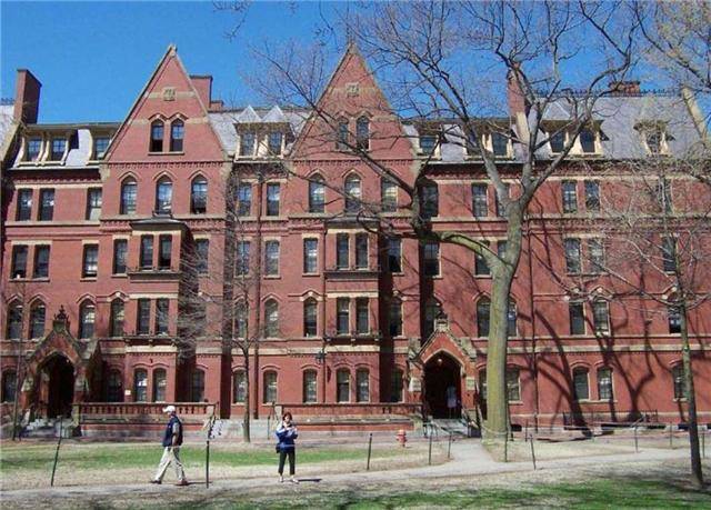 哈佛大学最新发现，引领未来的科学突破与创新洞察