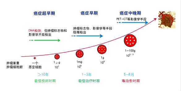 癌症患者经历的四个阶段