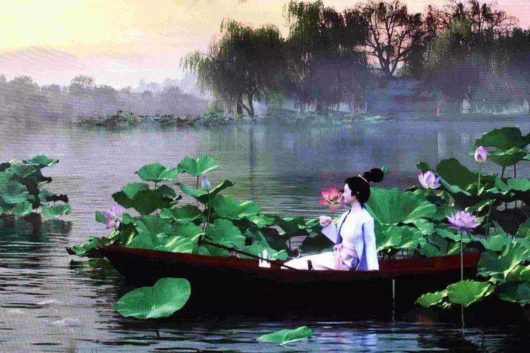 误入藕花深处是什么体验