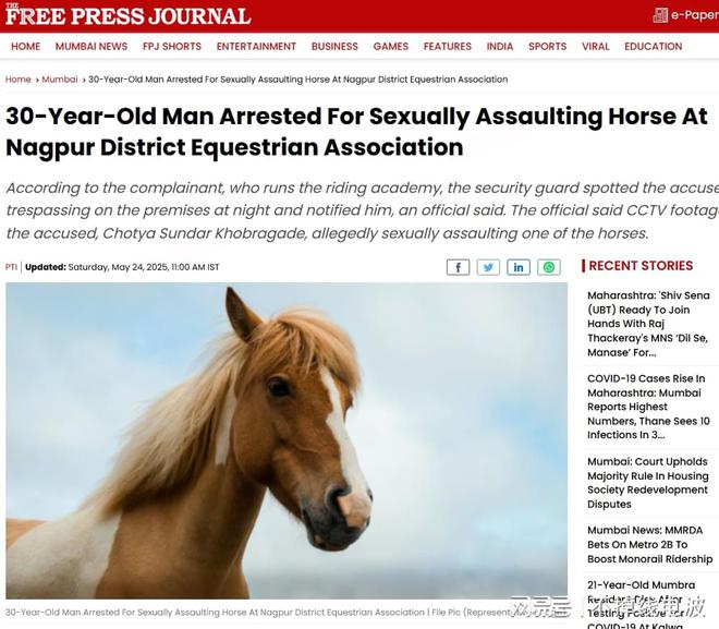 震惊！男子性侵马匹被捕事件深度解析
