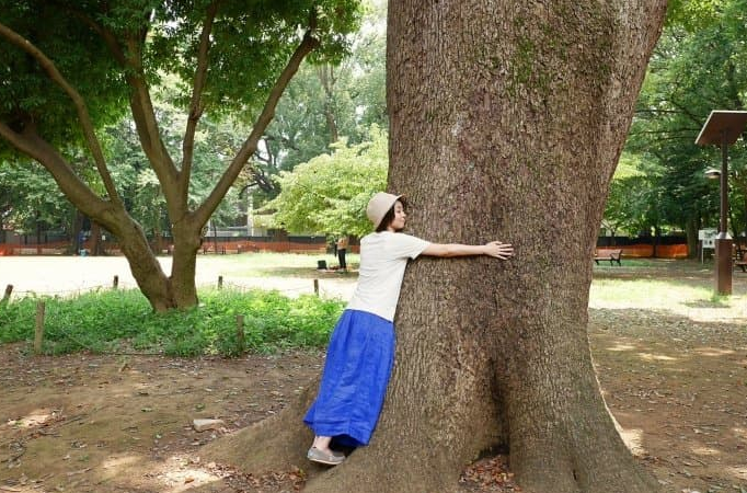 女子每月花780抱树背后的故事与反思