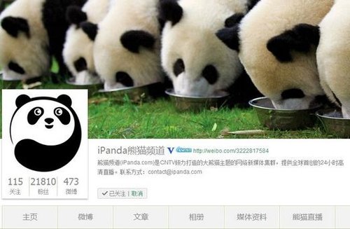 官方辟谣组织网民为大熊猫集资应援真相揭秘