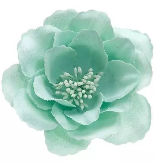 薄荷色代表什么？探索色彩背后的深层含义